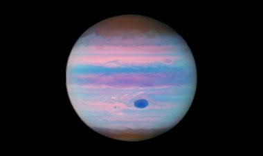 Ультрафиолетовый гигант