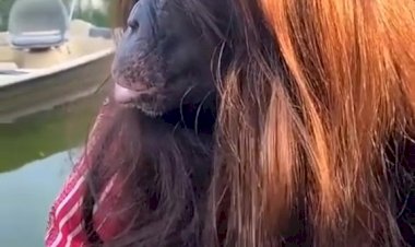 Когда девушка сходила в салон красоты