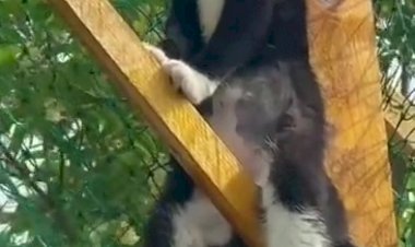 Когда не достал билет на футбол.