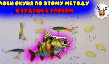 ✔ Правила зимней рыбалки. Как найти и поймать окуня. Подробнейшая инструкция