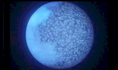 Двуликий карлик