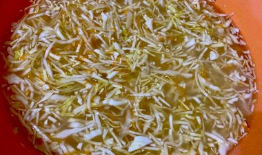 Квашеная капуста: Вкусное и Полезное Здоровье на Тарелке в сезон ОРВИ!