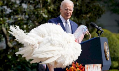 Биография Байдена