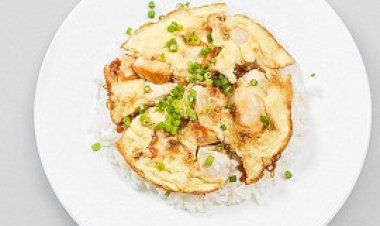 Оякодон - японский омлет с рисом и курицей