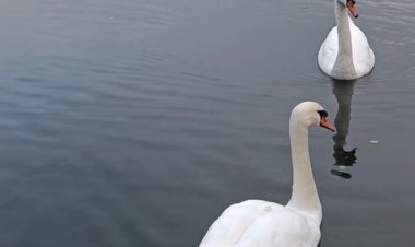 Очарование Калининграда и лучшие локации для прогулки