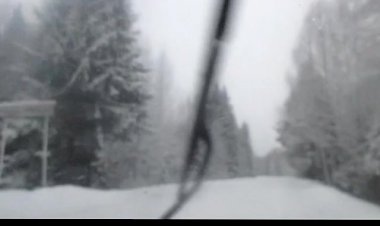 Белый сон - исполняет  Аверьянов Сергей