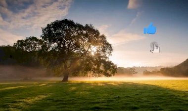 150 фактов о кошках