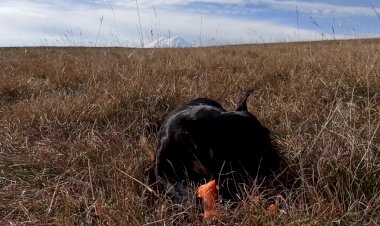 Завтрак с видом на Эльбрус
