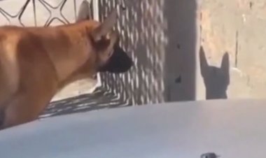 Ты че, следишь за мной?