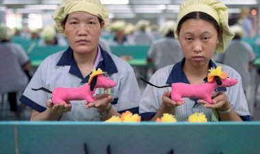 Оценка китайского качества на основе личного опыта и данных интернета