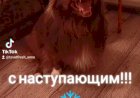 С наступающим новым годом!!!