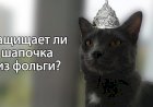 Защищает ли шапочка из фольги от опасного излучения?