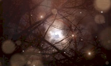 Сказочка "Колобок"