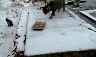 Милосердие для очистки совести или добро , ведущее в преисподню