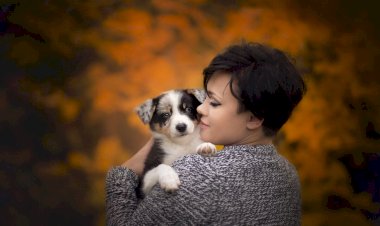 Встреча с Мамой