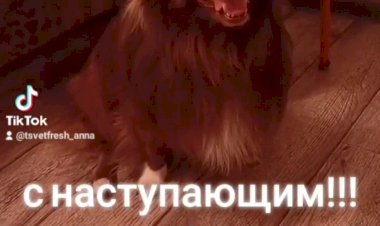 С наступающим новым годом!!!