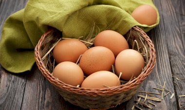 Почему в России яйца дорожают?