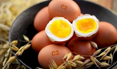 Яйца: что означает цвет желтка, а также маркировки С0, С1, С2