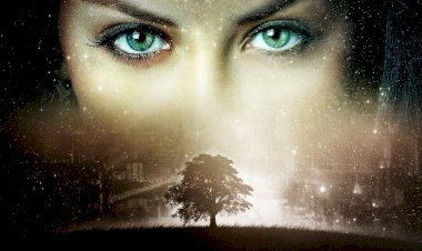 Киберпанк: Путь Одиночества - дневник писателя #2