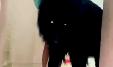 Это Грюнендаль