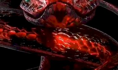 Анекдот про Сюрприз