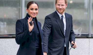 Возвращение Меган Маркл и принца Гарри в Британию: условия и ожидания