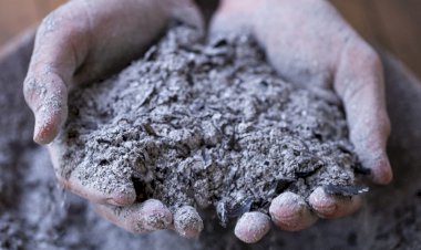 Древесная зола. Каким растениям польза, а каким вред