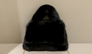 Новая сумочка)