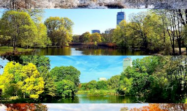 Влияние сезонов года на людей