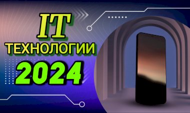 Самые востребованные профессии в IT в 2024 году