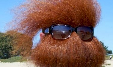 А Ты такой, красивый с бородой)