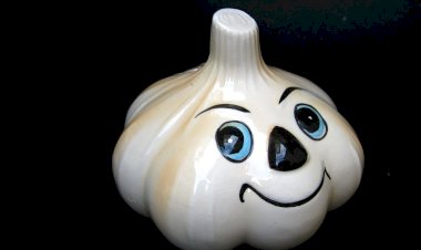 Главное и полезное свойство чеснока