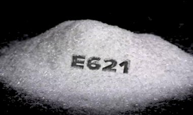 Чем опасен усилитель вкуса глутамат натрия?