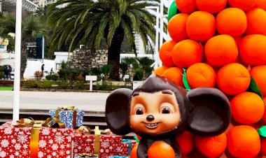 Самые креативные ёлки и новогодние предсказания