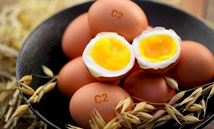 Яйца: что означает цвет желтка, а также маркировки С0, С1, С2