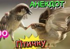 Анекдот про Птичку