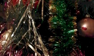 Флешмоб с Новогодней ёлкой