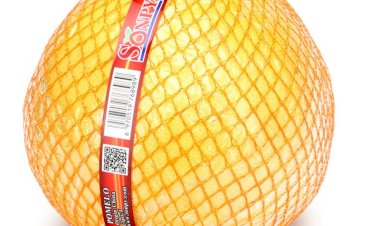 Господин цитрусовый помело