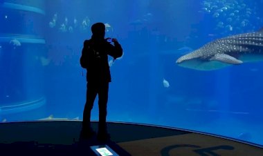10 самых больших акванариумов и океанариев нашей планеты