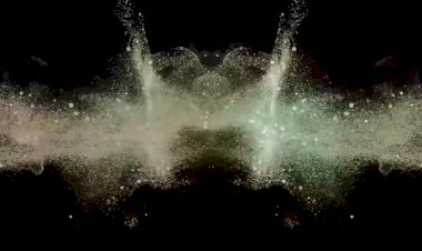 Интересные факты  о фазанах