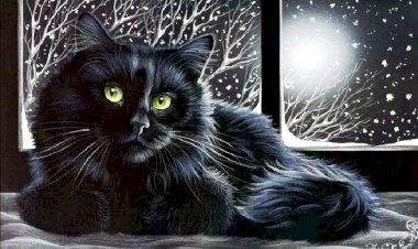 Ночной гость)