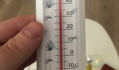 Температурные январские скачки -климат спятил ?