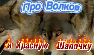 Анекдот про Волков и Красную Шапочку