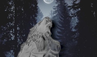 Приключения вервольфа Глава № 2 ЗАЩИТНИК.