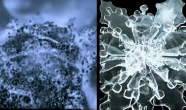 Скрытая правда о празднике. Вот почему вода в Крещение святая