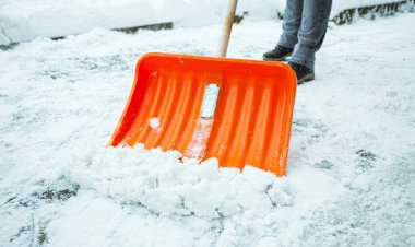 Лопата Ждет) 2