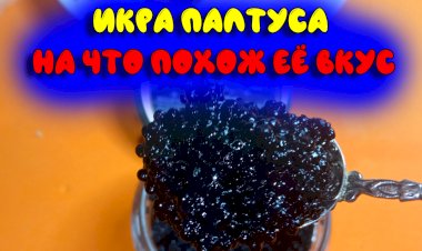 Икра палтуса / На что похожа по вкусу и почему она черная