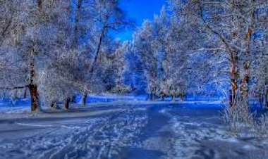 Синий Иней 2