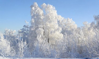 Синий Иней 3