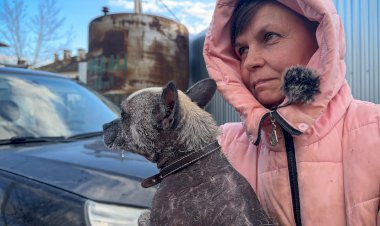 Одна одинёшенька ,С ВЫПАВШИМ КИШЕЧНИКОМ собака, оставшаяся без хозяйки оказалась в нашем приюте